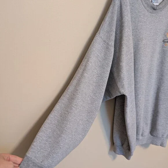 Albuquerque Isotopes sweatshirt 2XL gray oversized boxy - Picture 3 of 11